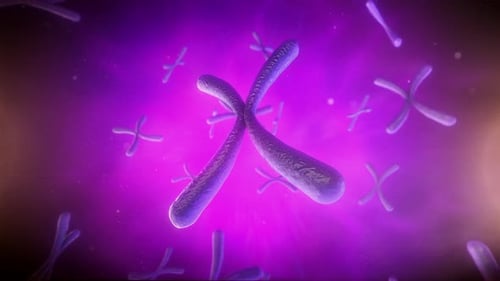 Animated 3D Chromosomes Floating in Scientific Purple Background