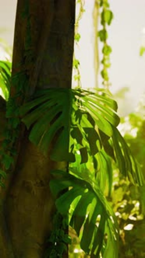 Lush Tree With Abundant Green Leaves