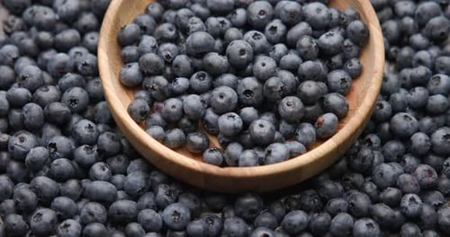 Fond macro de myrtilles, fruits et baies de myrtilles, frais et juteux, biologiques et sains