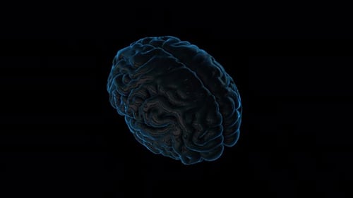 NFT Digital Artificial intelligence Brain in Technology Board Alpha Channel 4K