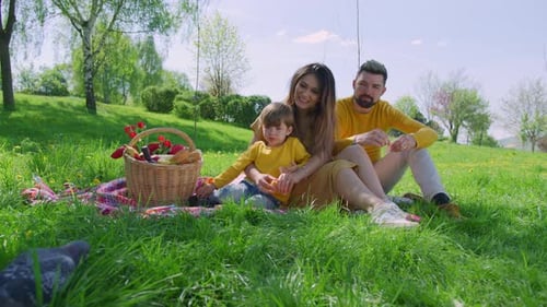 Family Enjoying Picnic in Spring Park