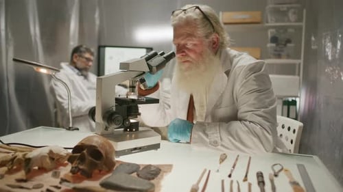 Scientists Studying Ancient Remains in a Bright Laboratory