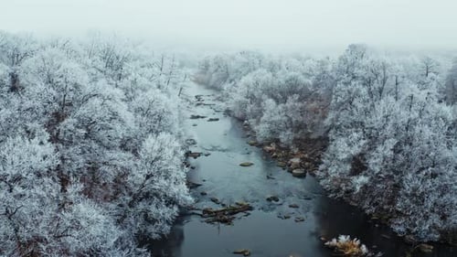 Aerial view of snow covered winter forest and river