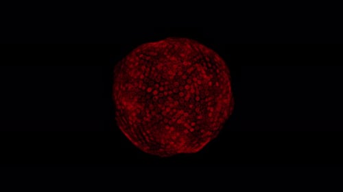 3D Liquid Fantasy Sphere | 4K