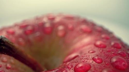 Close-Up of a Red Apple with Water Droplets