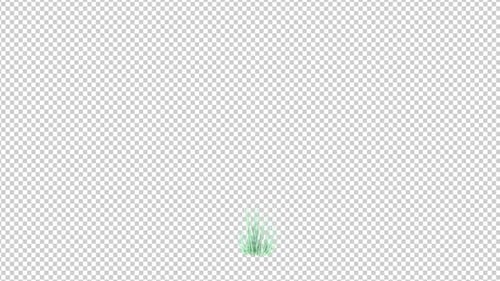 Animated Green Plant Growing Transparent Background