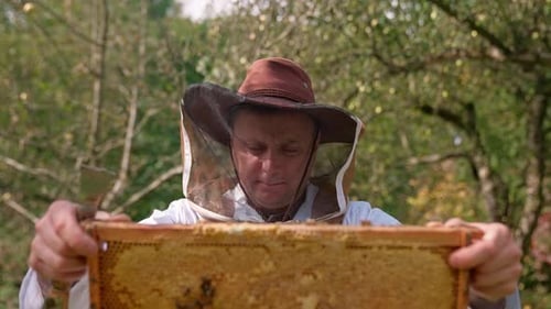 Honeycombs Beekeeper Bokeh