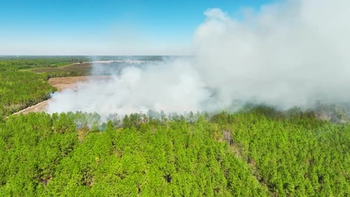Aerial View of White Smoke From Forest Fire Rising Up Polluting Atmosphere