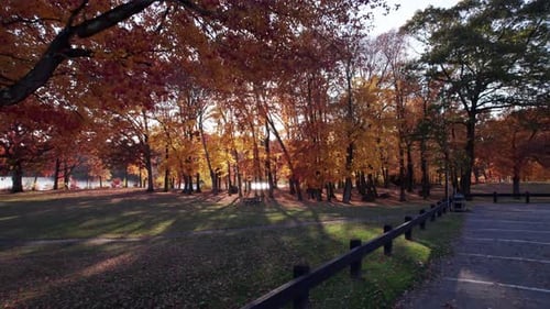 Dollying towards autumn foliage in a park on the shore of a lake. The sun sets behind trees with ora