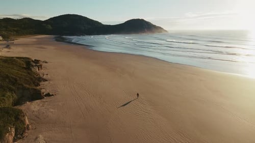 Surfer walks alone on the wide sandy beach towards surfing spot. Aerial view of the beach with