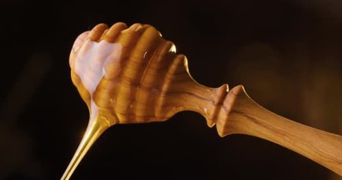 Golden Honey Dripping off Wooden Honey Dipper