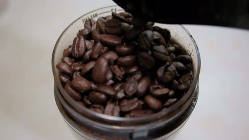Close Up Footage of Falls Coffee Beans in Coffee Grinder Machine Grinds Coffee Beans