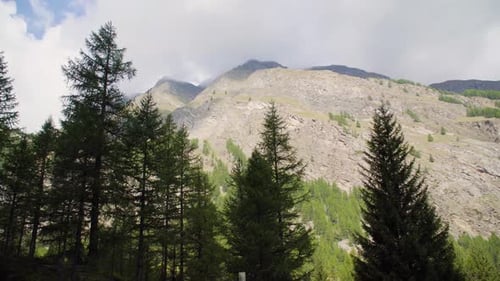 Pine trees, clouds and mountains. Panning reavealing camping site.