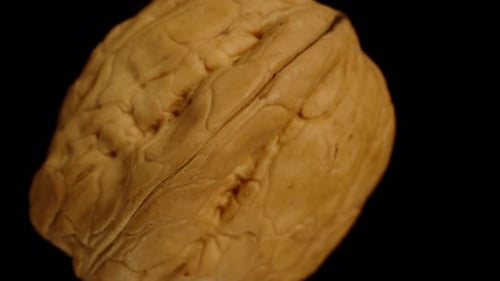A walnut rotates and falls downward on a black background. Macro shot, isolated. Top view.