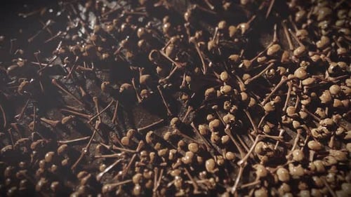 Abstract Pile of Small Bones and Skulls Animation