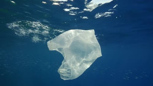 La bolsa de plástico blanca desechable desechada se desplaza lentamente bajo las olas