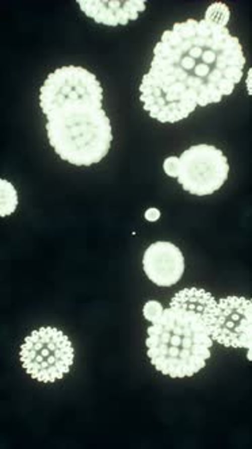 Vírus sob a visão microscópica da educação