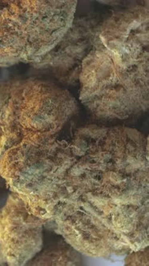 Rotierende Nahaufnahme-Hintergrundschleife für Marihuana, vertikal