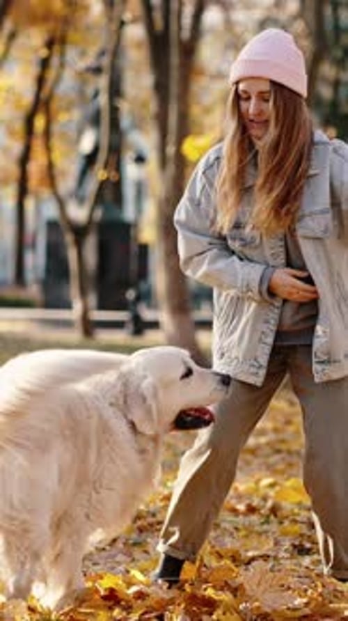 Dog Training Young Woman Cynologist Playing with Dog Using Rubber Circle Exercising with Big