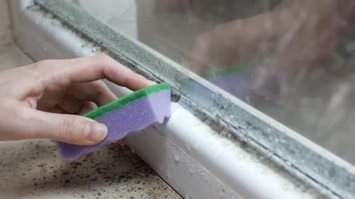 Sponge Cleans Mold on Window Sill