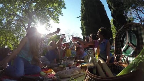 Friends Toasting Wine Glasses at Relaxing Picnic Outdoors
