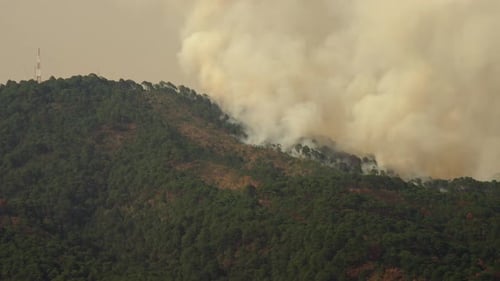 NAHAUFNAHME EINES WALDFEUERS AUF EINEM BERG IM ZEITRAFFER