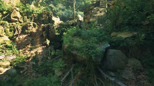 A Rocky Cliff Covered in Lots of Green Plants Mountain Path