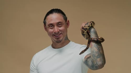Portrait d'un homme tatoué sur le bras posant avec un serpent python