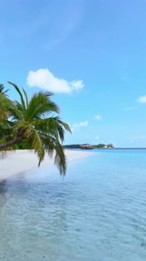 Tropical White Sand Beach with Calm Turquoise Water and Palm Trees Under Blue Sky Serene Atmosphere