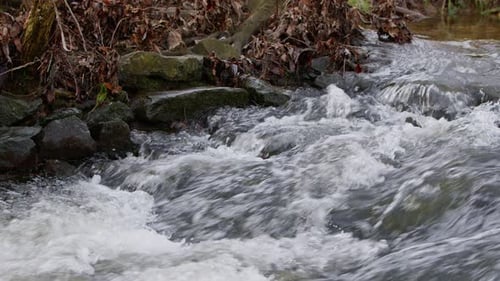 Waterfall On A River In Wild Nature 16