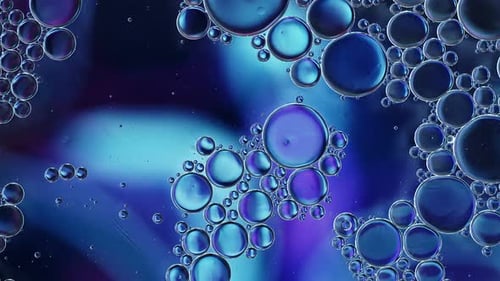Abstract Colorful Food Oil Drops Bubbles And Spheres Flowing On Water A Surface 47