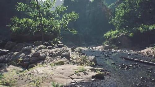 Realistic 3D Fly Through Forest River Valley