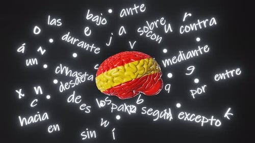 Spanish Learning Foreign language Human brain Spain flag color Letters articles word preposition