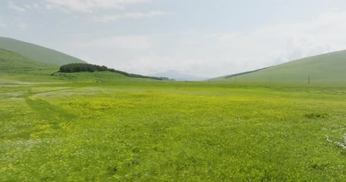 Green Grassland With Wildflowers And Scenic Mountain Views In Summer. - low aerial flight