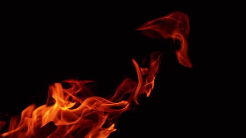 Flame of campfire leaning to the right. Wood burning in the darkness close up.