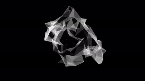 Schwarz-weißer Plexus