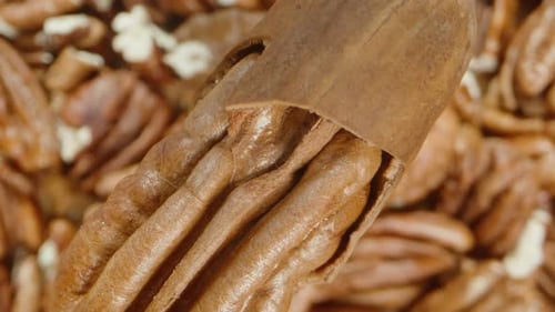 Pecan falls onto the table, and the camera focuses on the distant background with nuts below.