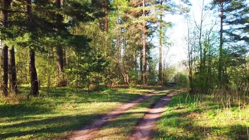Frühling, Arboretum Rubovsky, Steinbruch und West-Dwina 17
