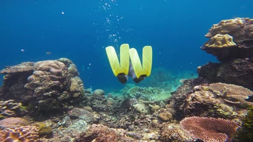 A professional free-diver swims away from the camera into deep blue sea depths.