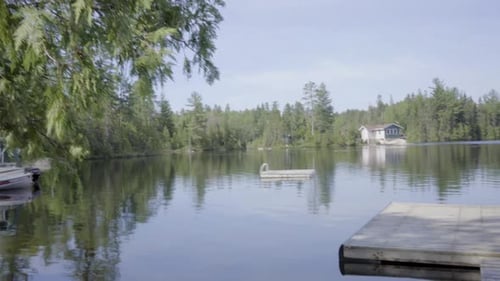 fishing and swimming in canadian wilderness forest summer sunny cottage,