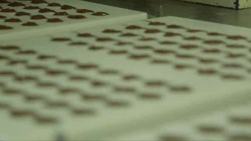 Chocolate Filling Moving on a Machine Conveyor