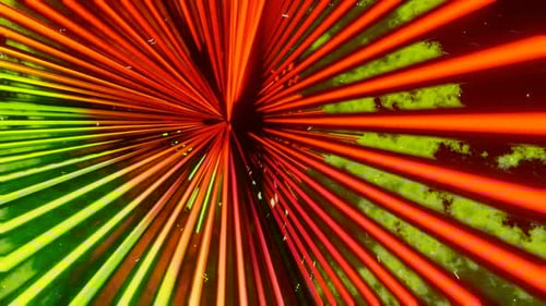 Orange And Lime Neon Glowing Sci-Fi Triangular Dimension Background Vj Loop In 4K