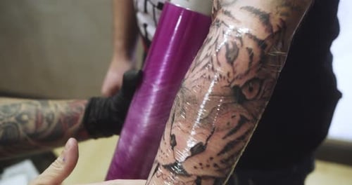Professional tattoo artist covers a tattoo of a tiger on a man's forearm with plastic wrap.