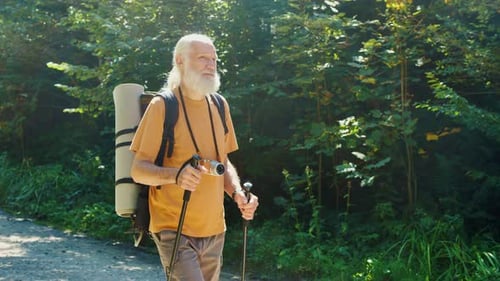 Senior Man Hiker Walking Along the Road in the Forest with a Backpack Hike