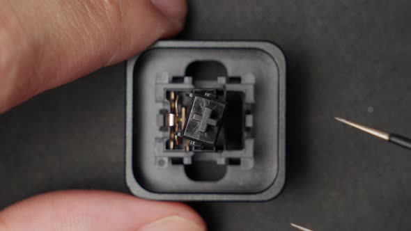 Assembling Keyboard Switch with Tweezers in Close Up, Industrial Stock ...