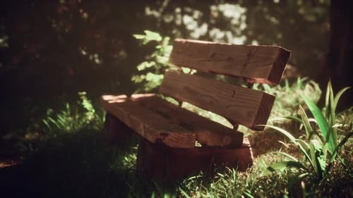 Wooden Bench Under the Hill with Grass and Trees