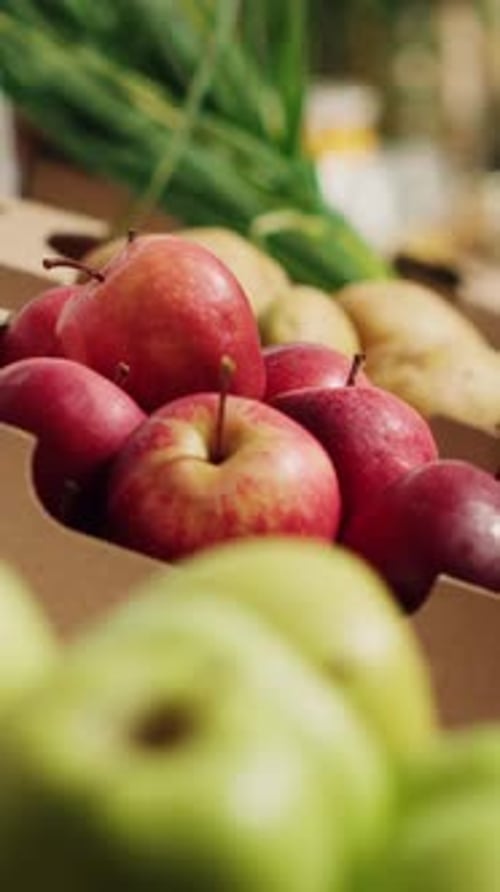 Vertical Video Vegetables on Eco Farmers Market Shelves