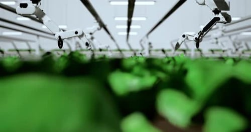 Smart Robotic Farmers Concept, Robot Farmers, Agriculture Technology, Farm Automation