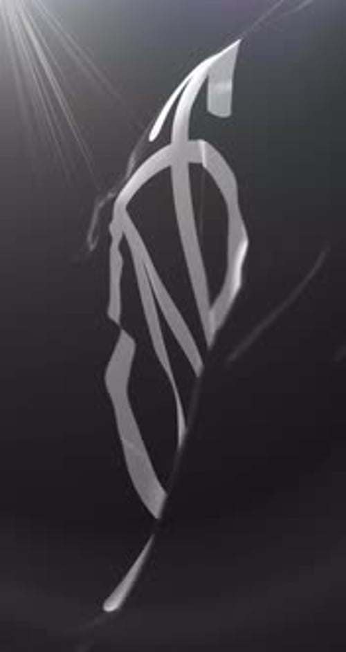 Abstract Fluid White Line Reveal Animation