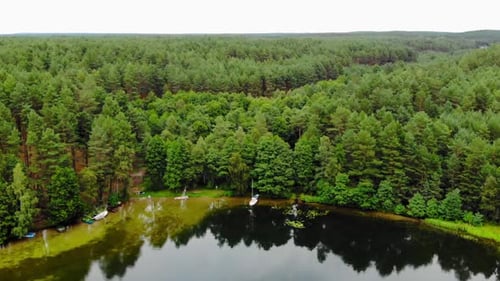 Boats Docked By The Lakeside And Edge Of A Thick Evergreen Forest In PrÄ…dzonka Poland - Aerial shot